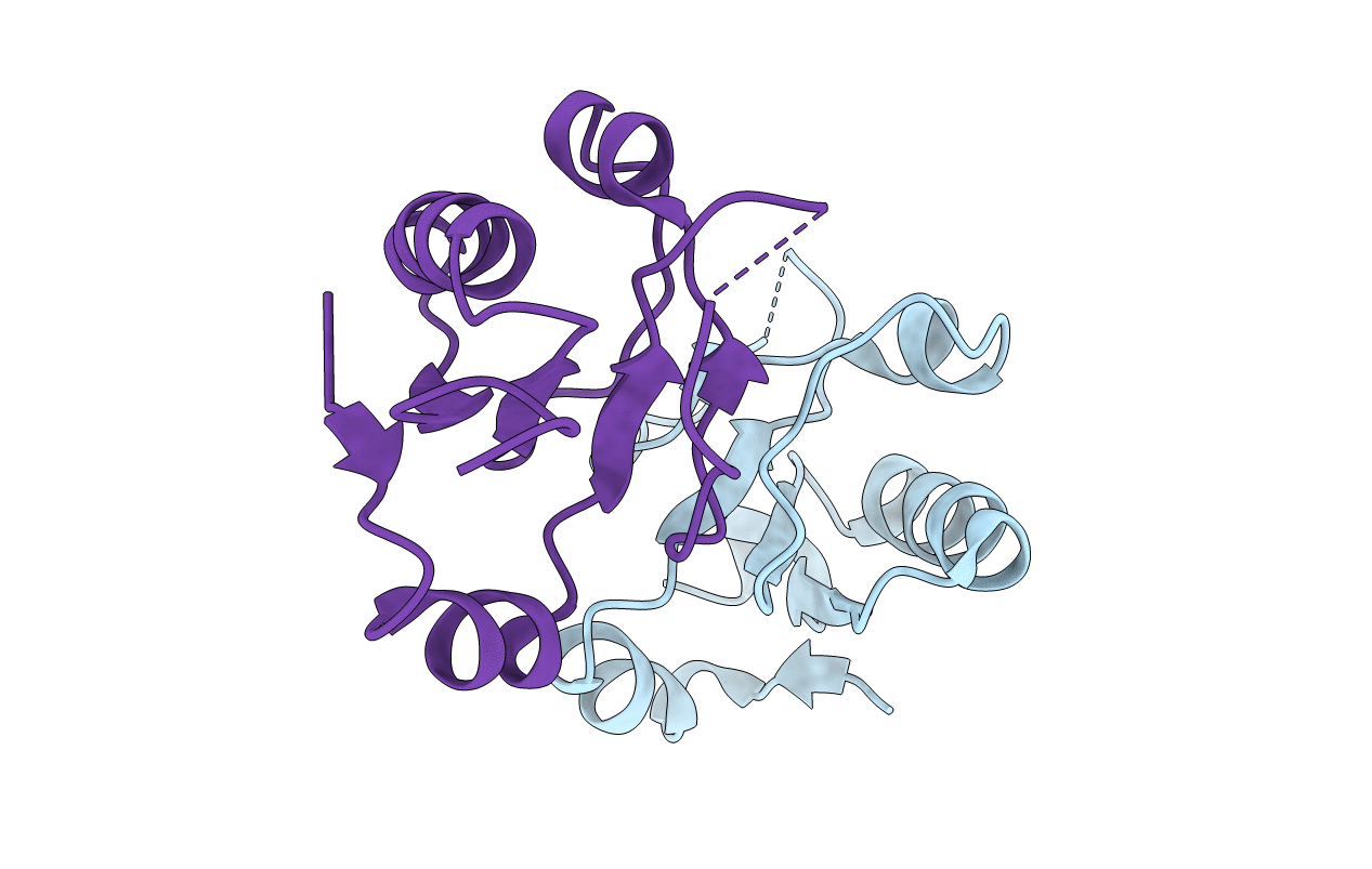 1WV9 image