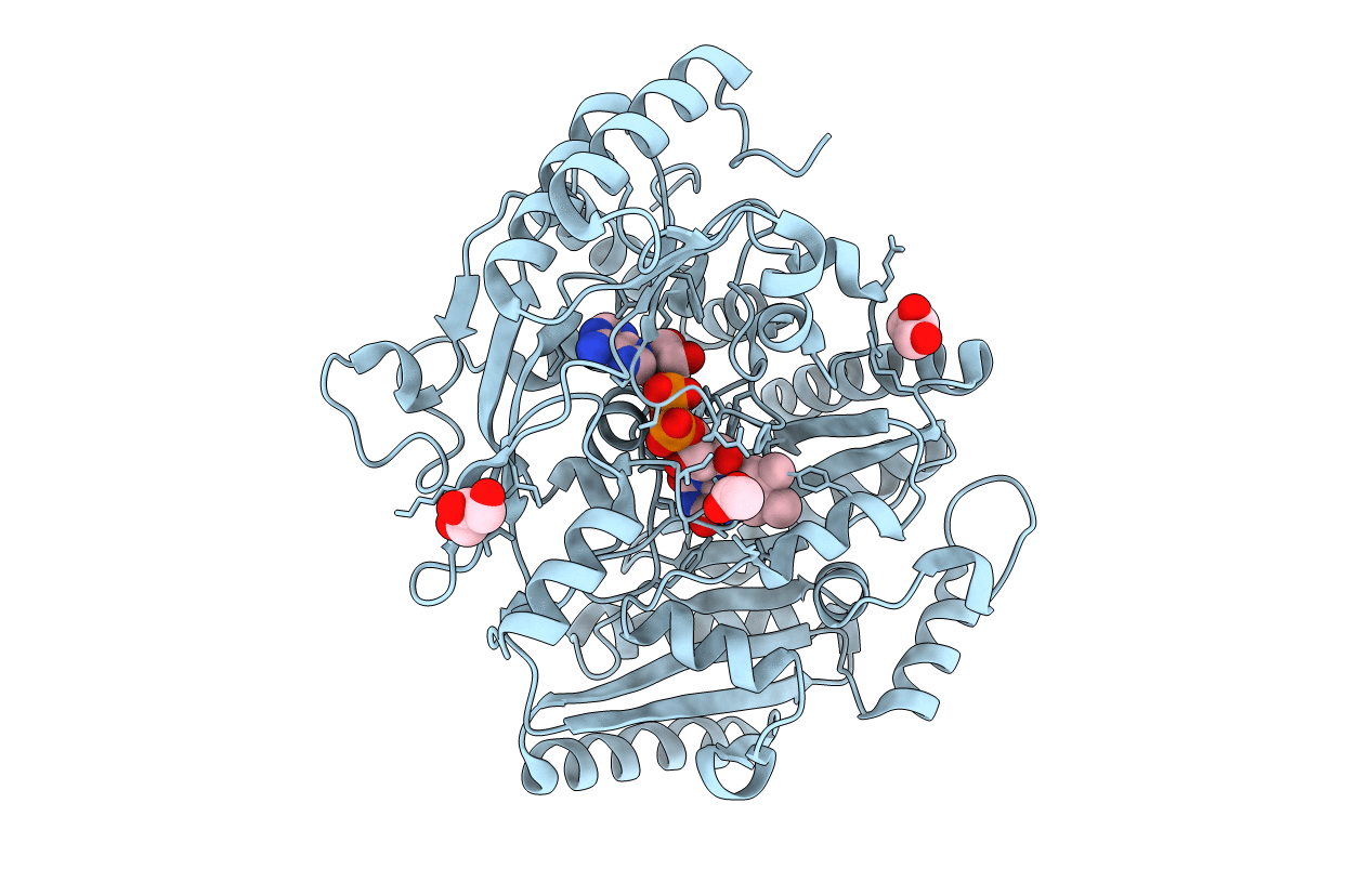 1WVF image