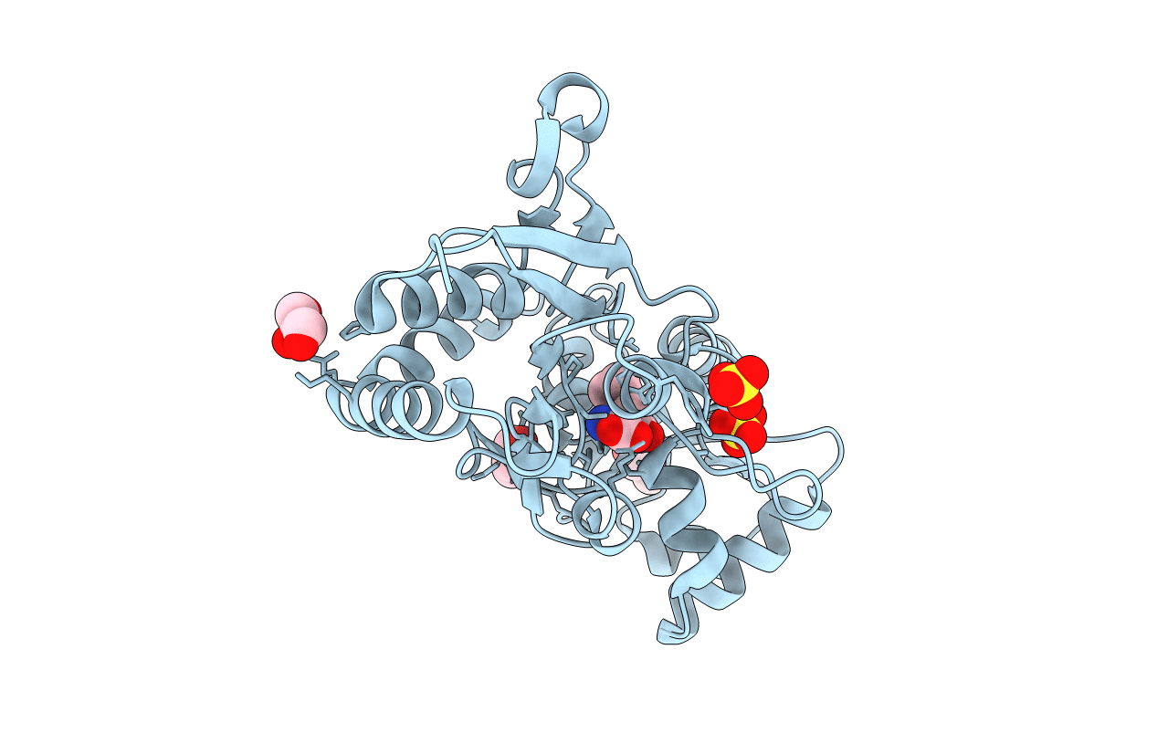 1WVJ image