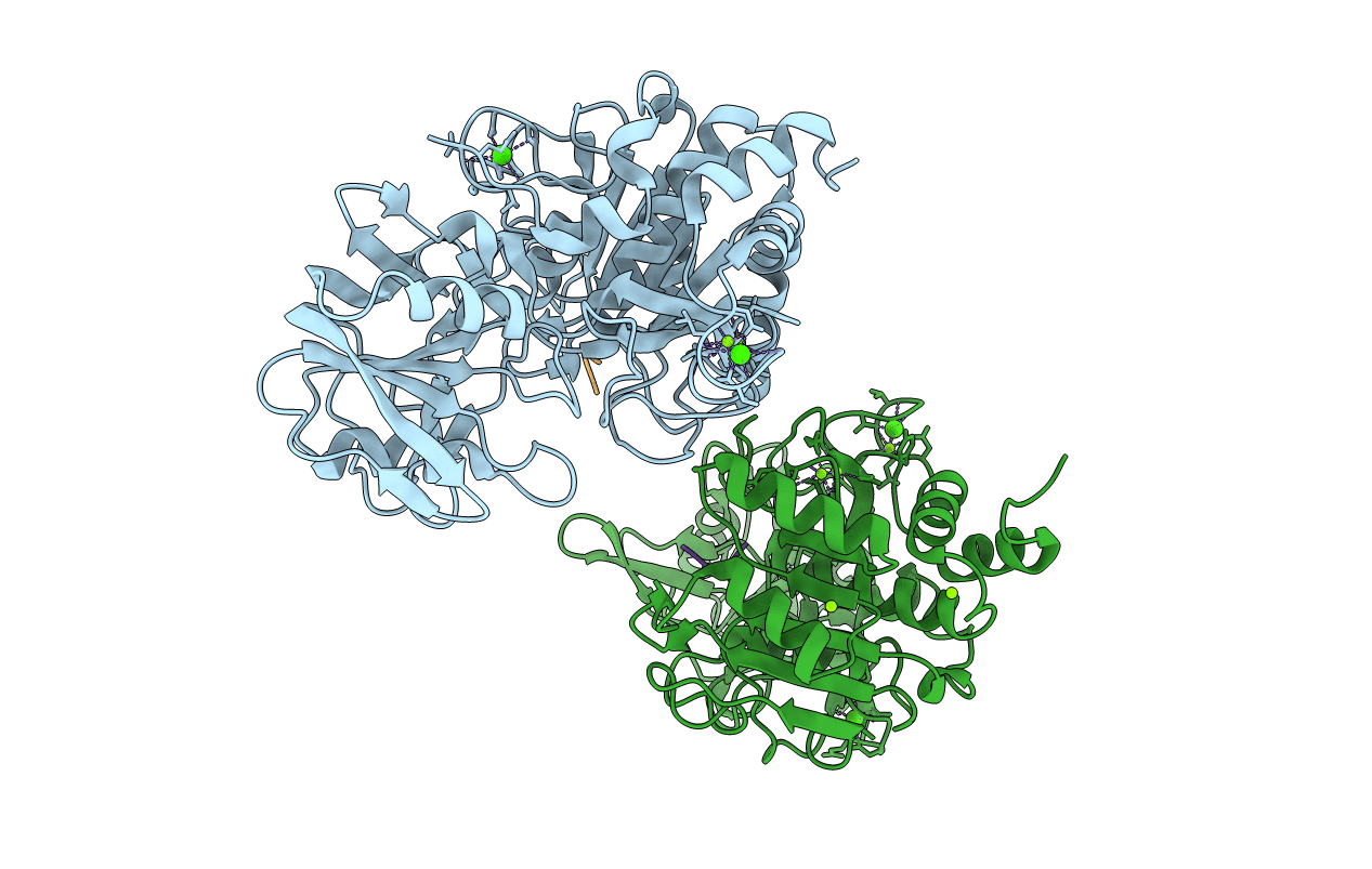 1WVM image