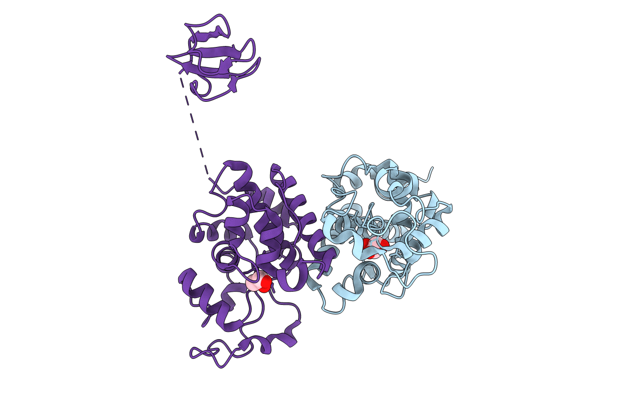 1WVV image