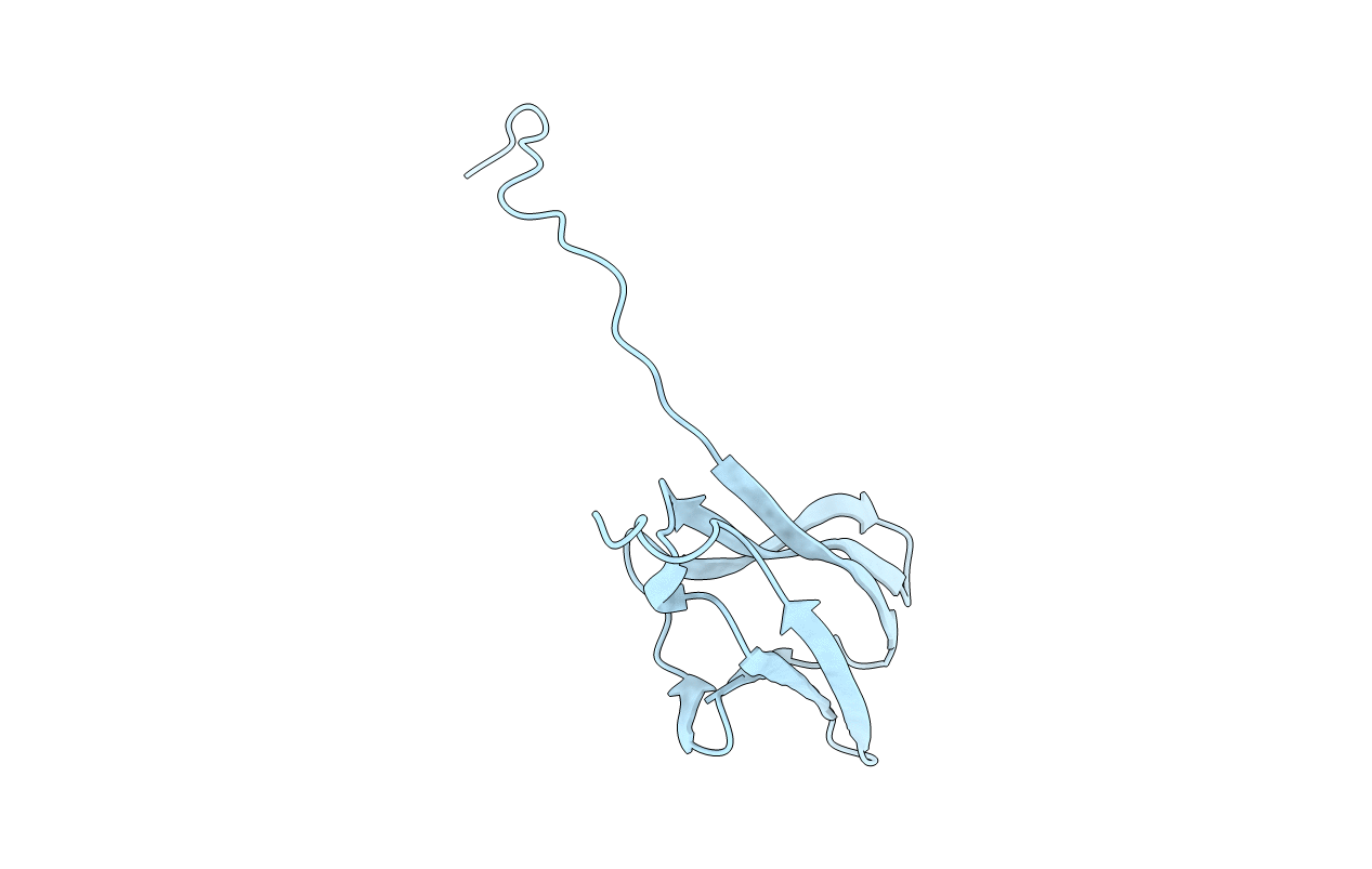 1WWB image