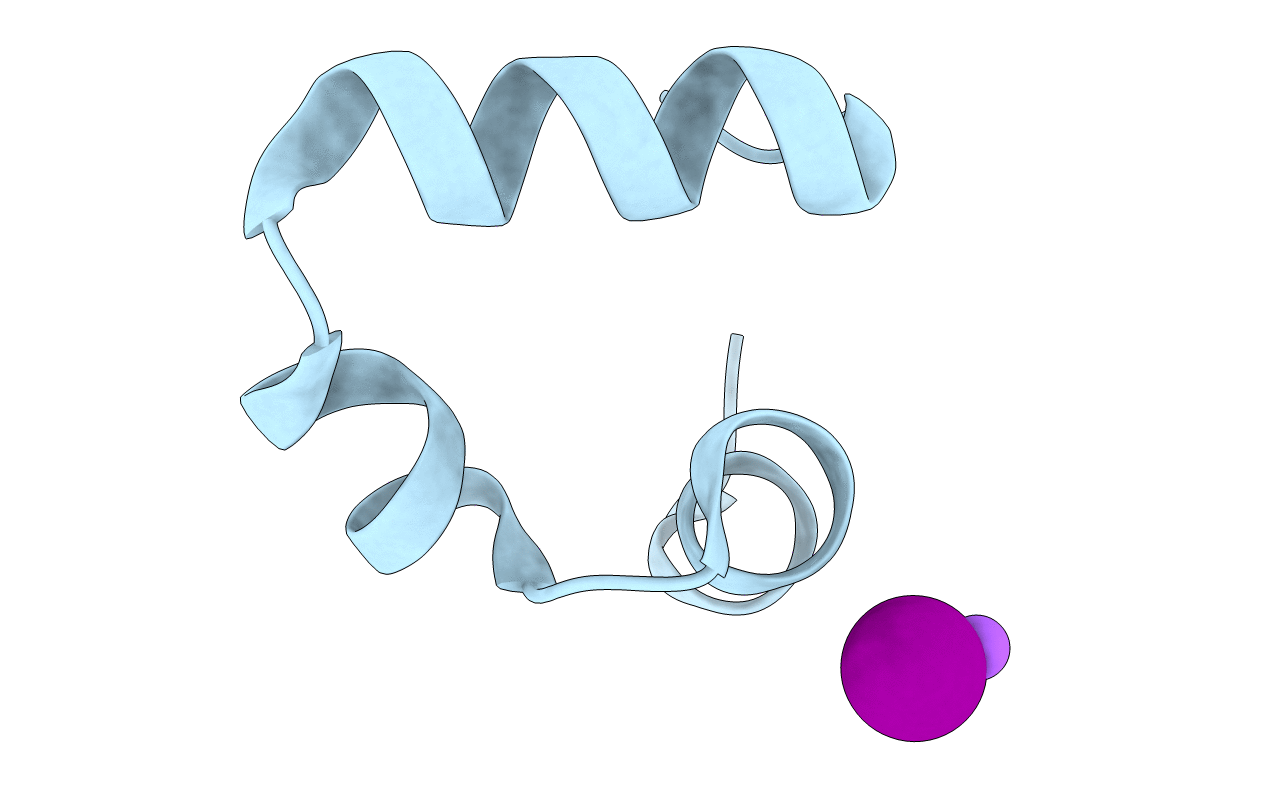 1wy4 image