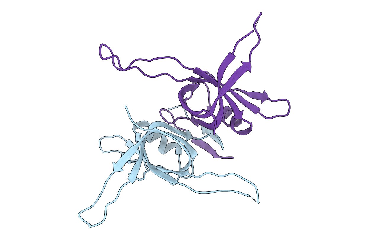 1X3G image