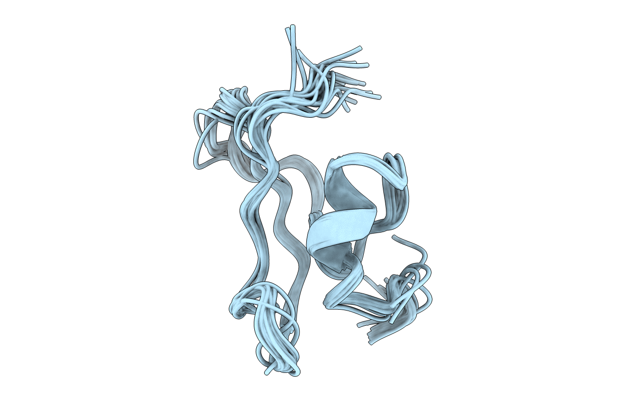 1X3P image