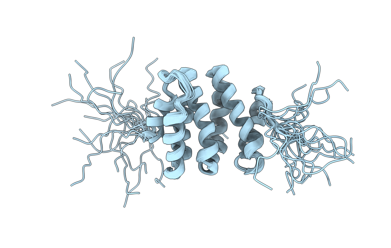 1X5B image