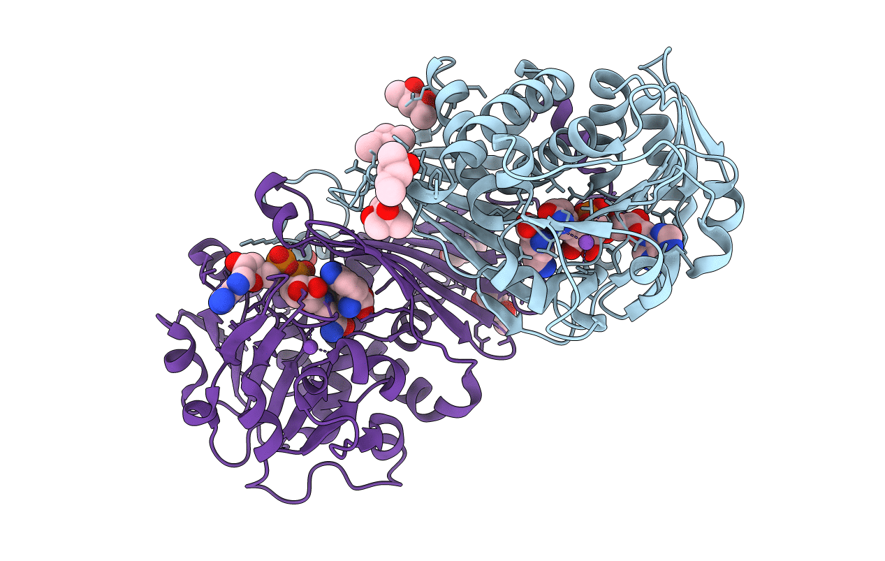 1X7D image
