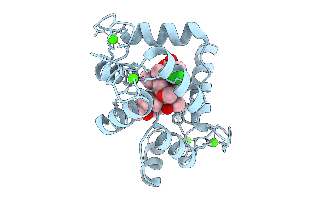 1XA5 image