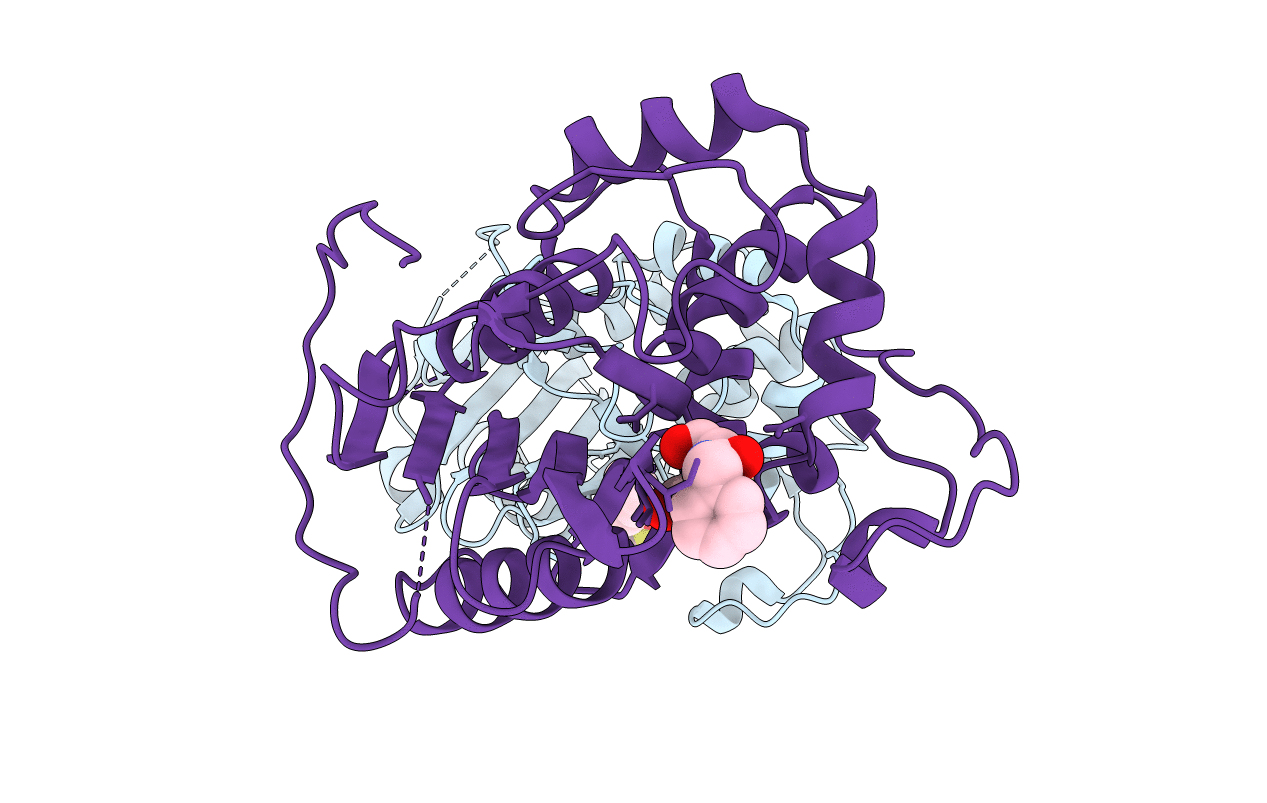 1XA7 image