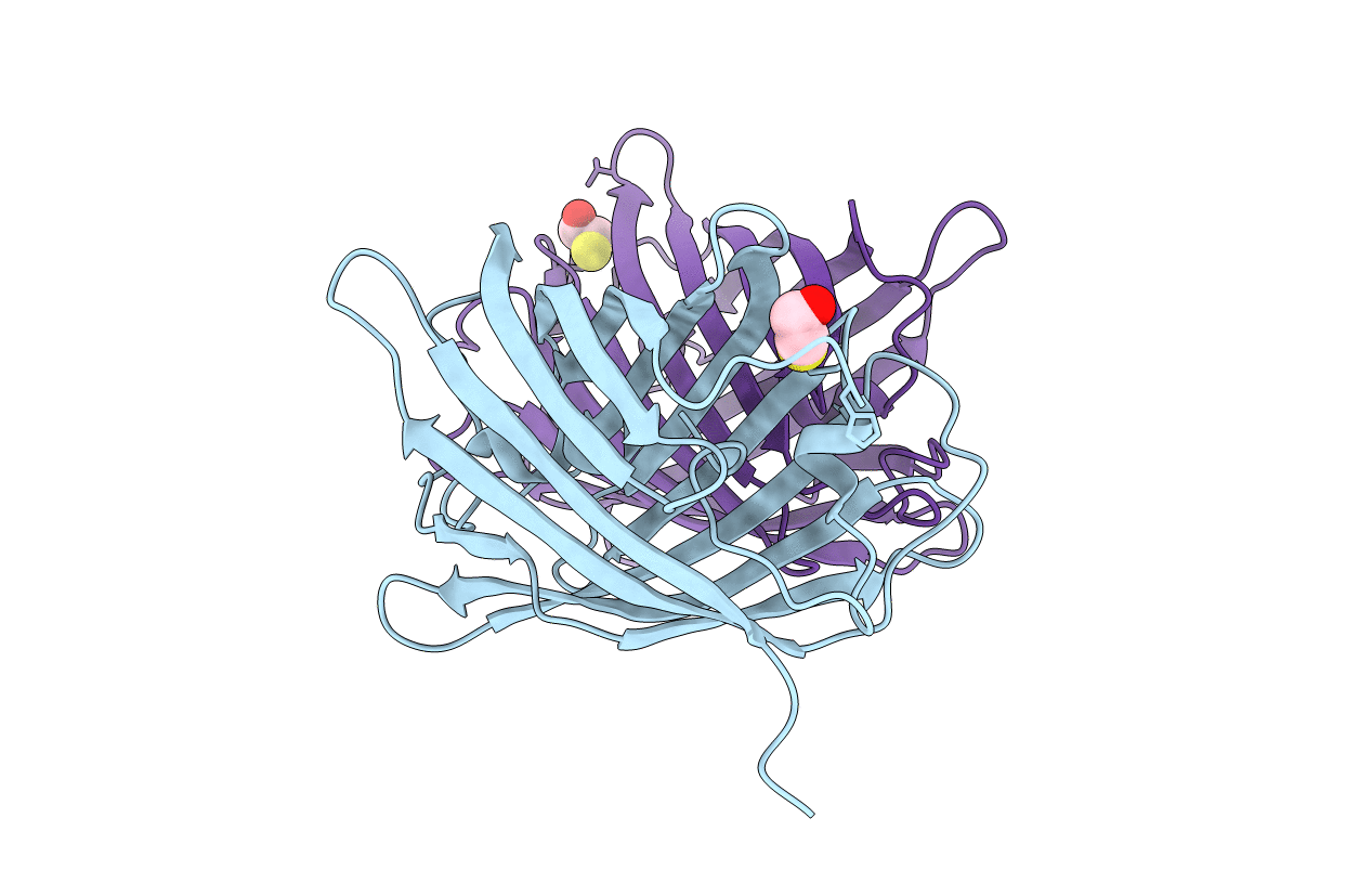 1XAE image