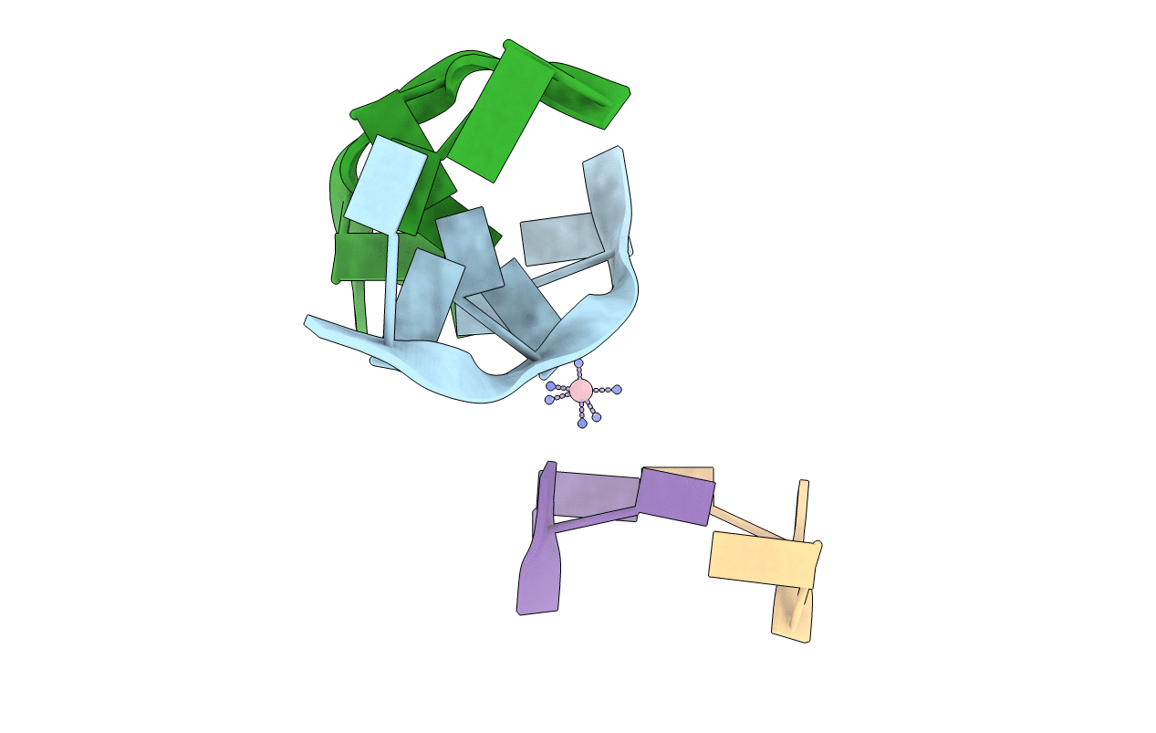 1XAM image