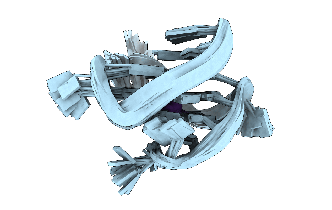 1XAV image