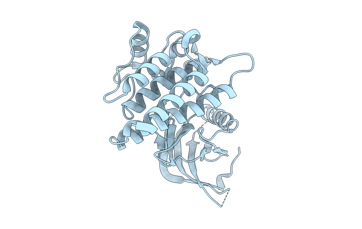 1XBA image