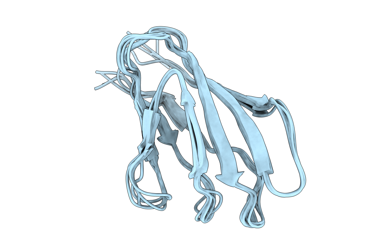 1XBD image