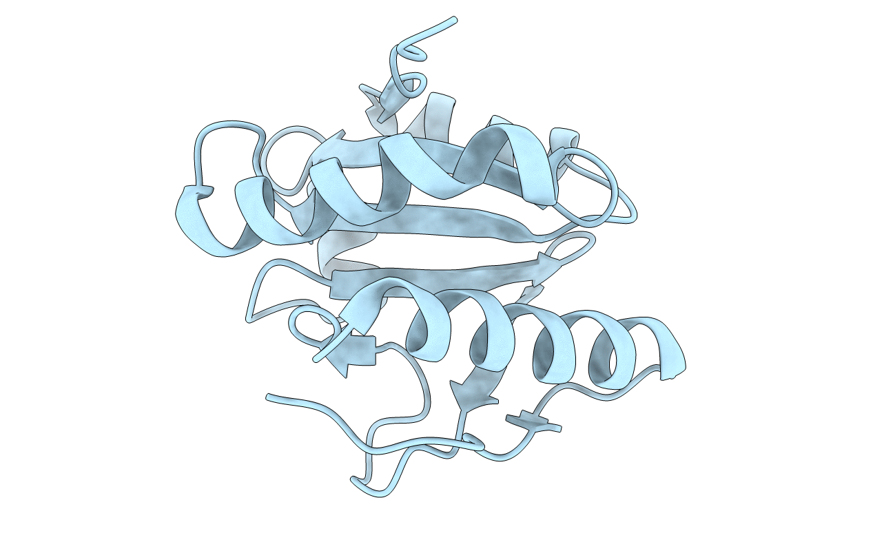 1XBS image