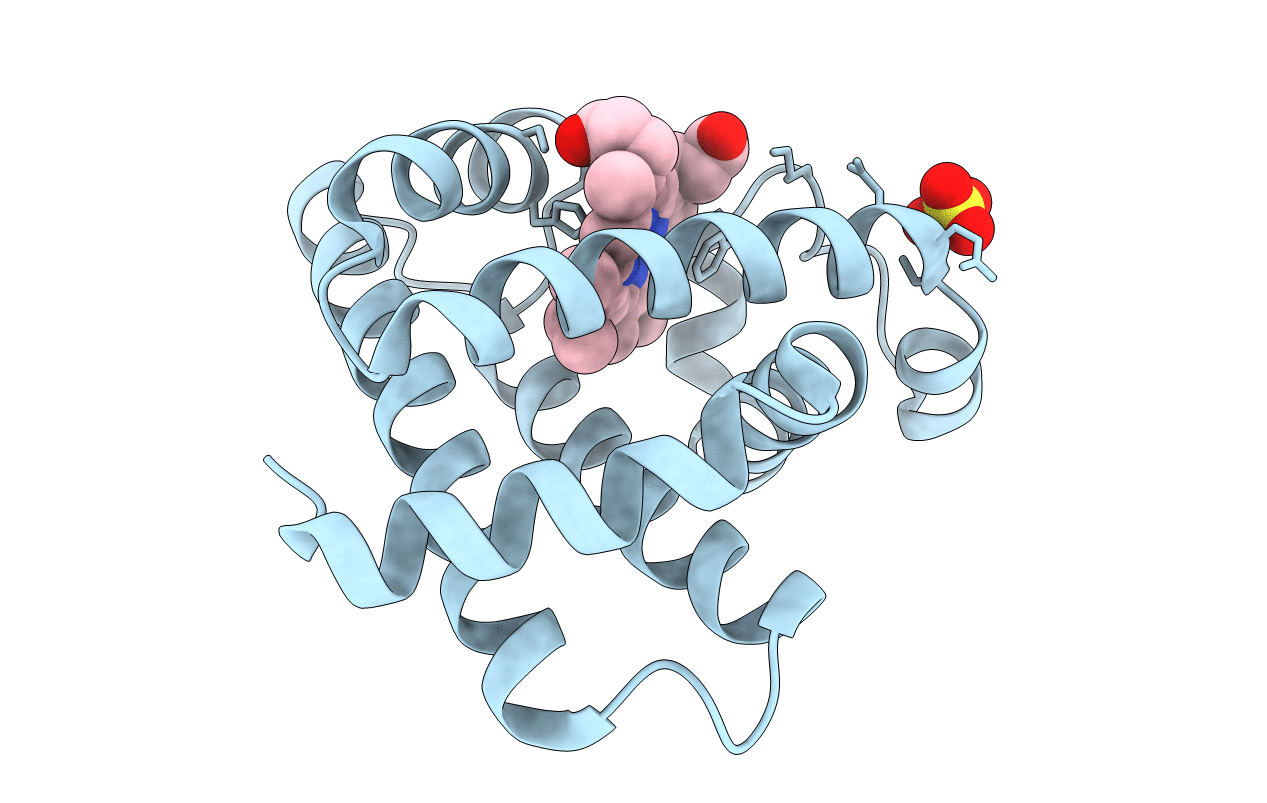 1XCH image