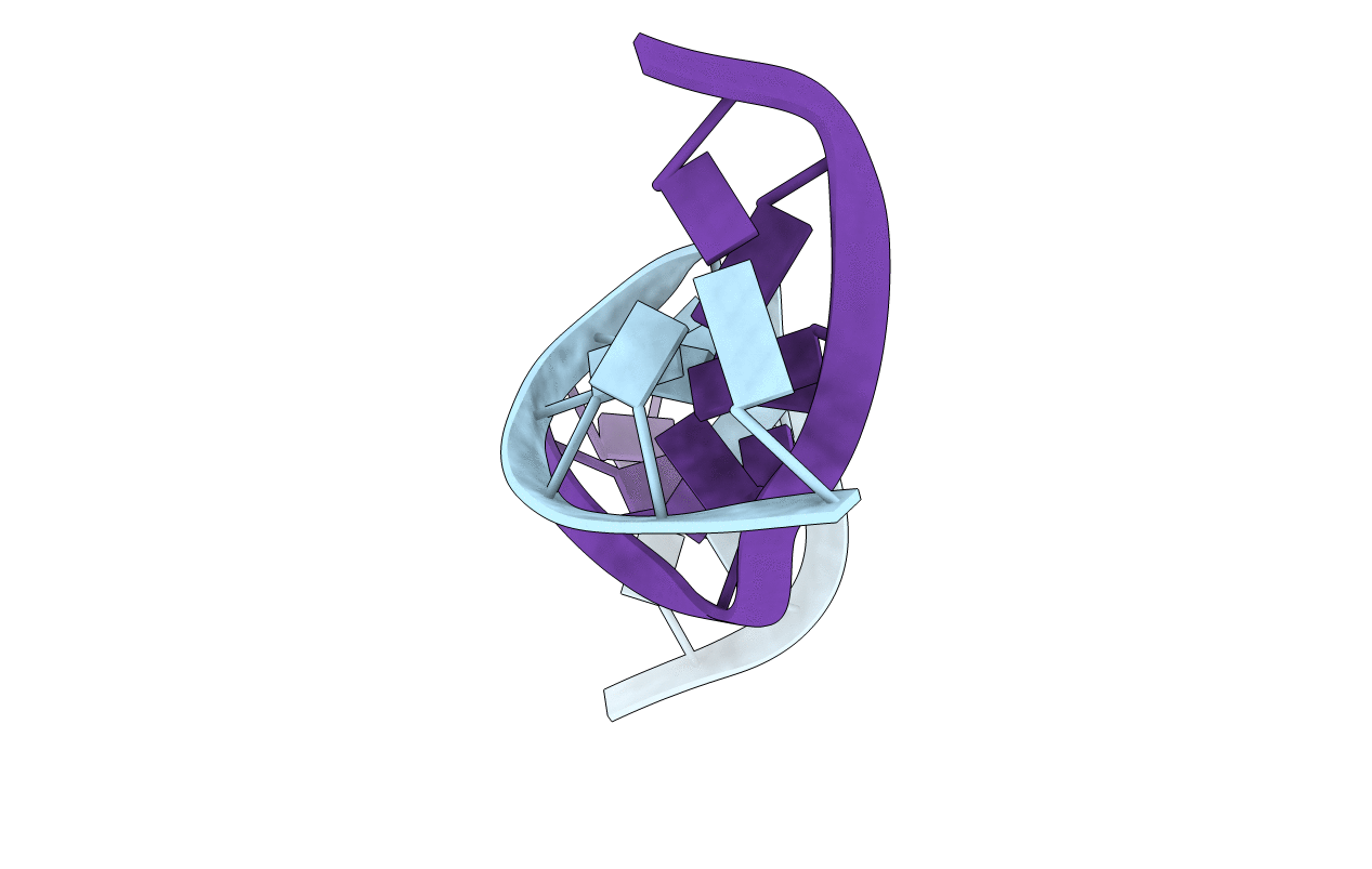 1XCI image