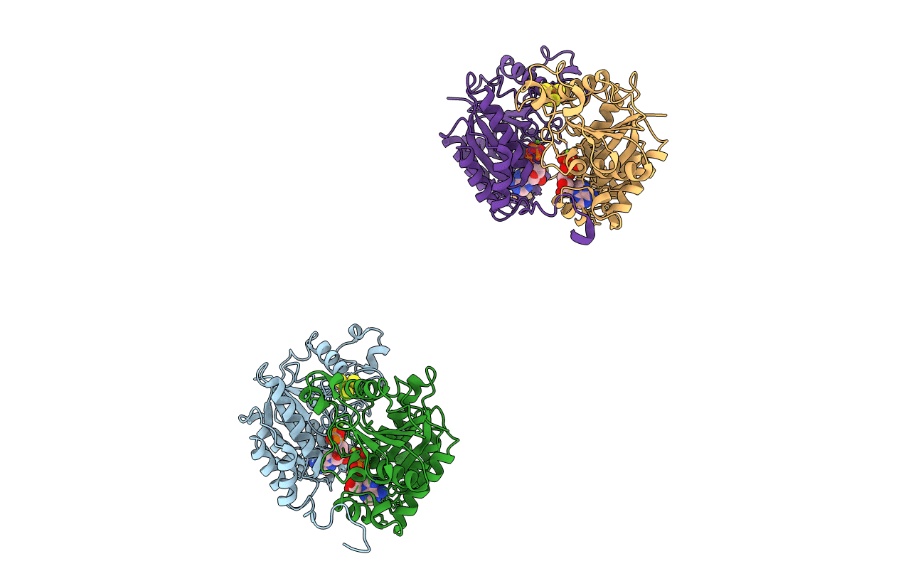 1XCP image
