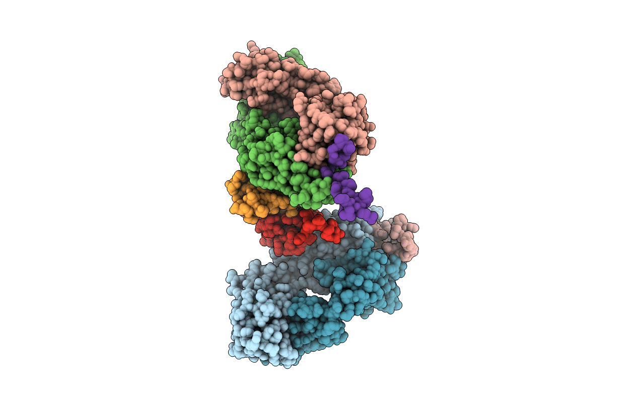 1XCT image