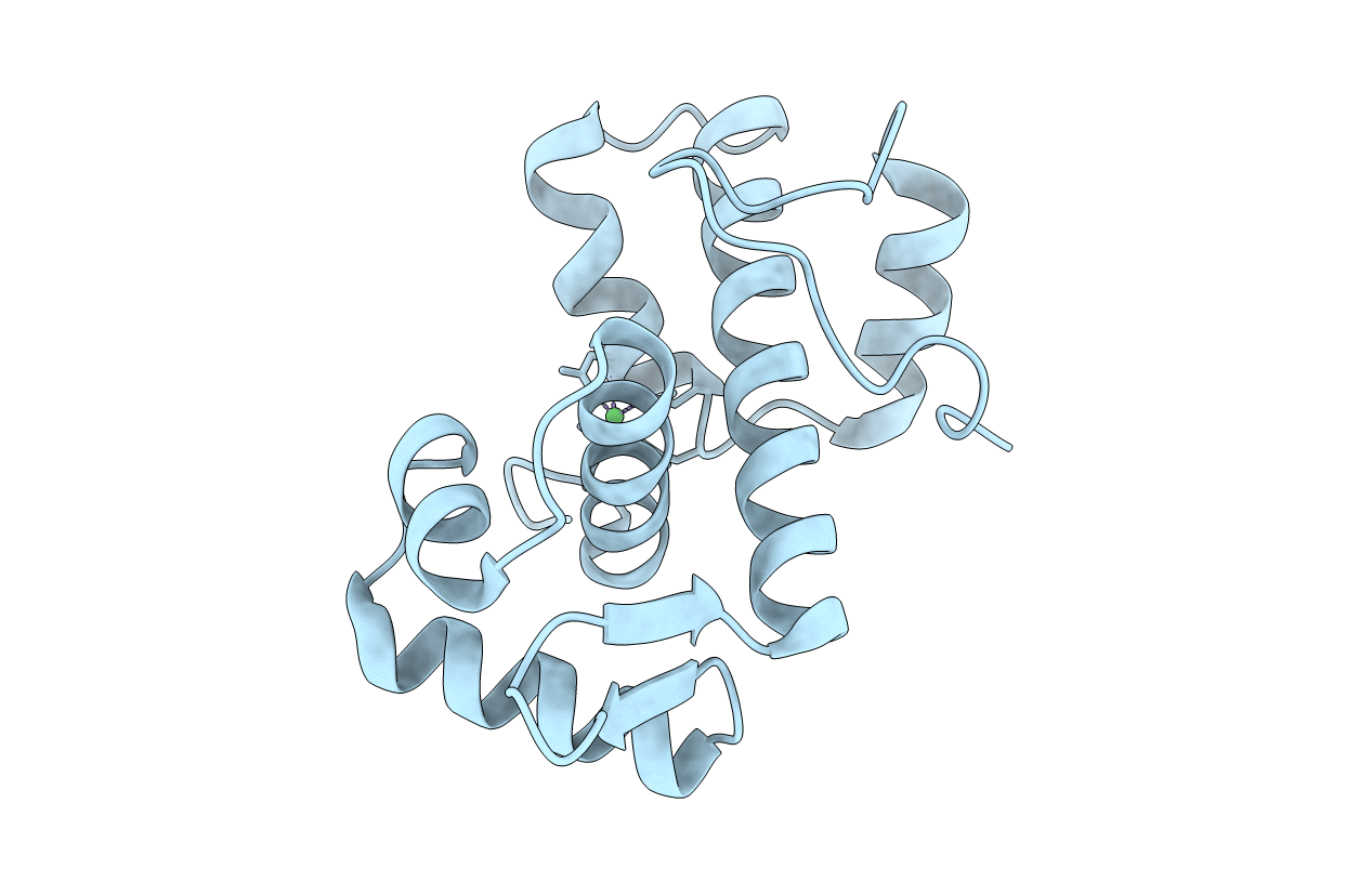 1XCV image