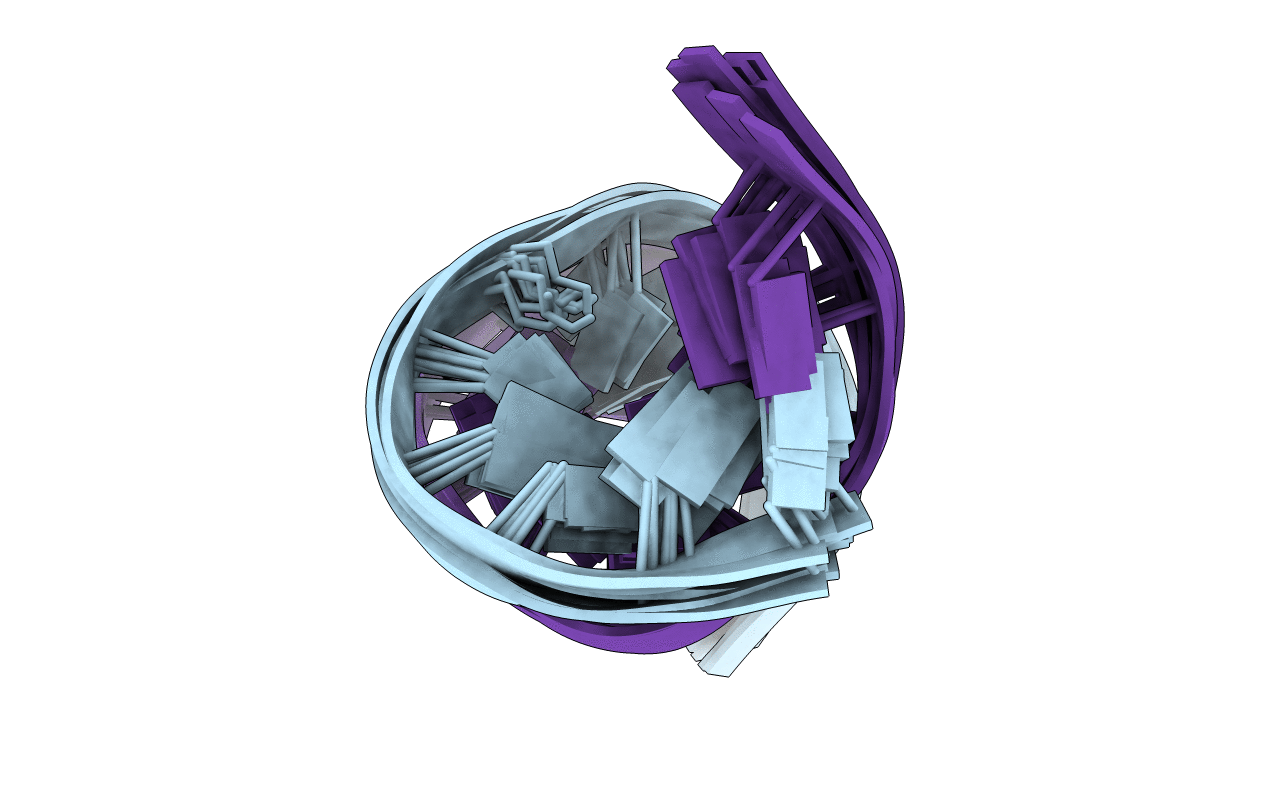 1xcz image