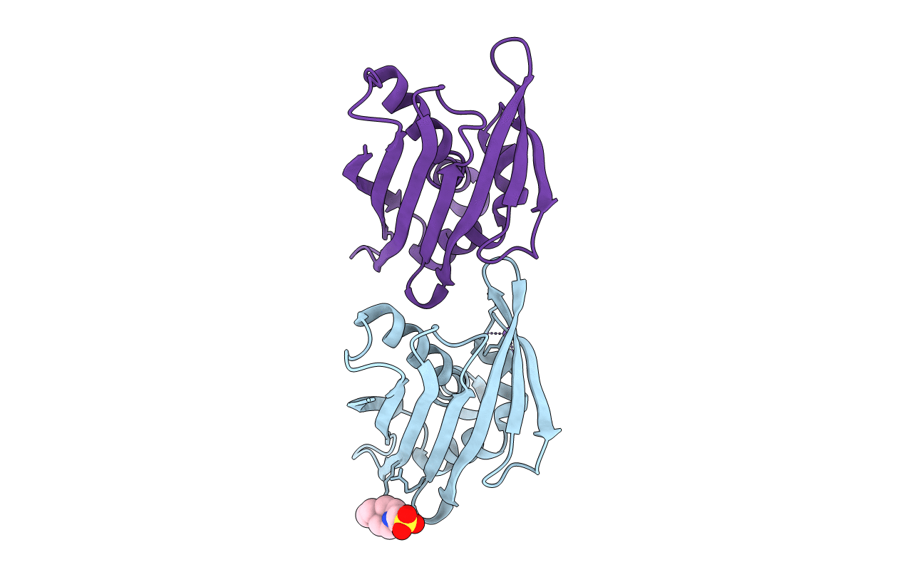1xdf image