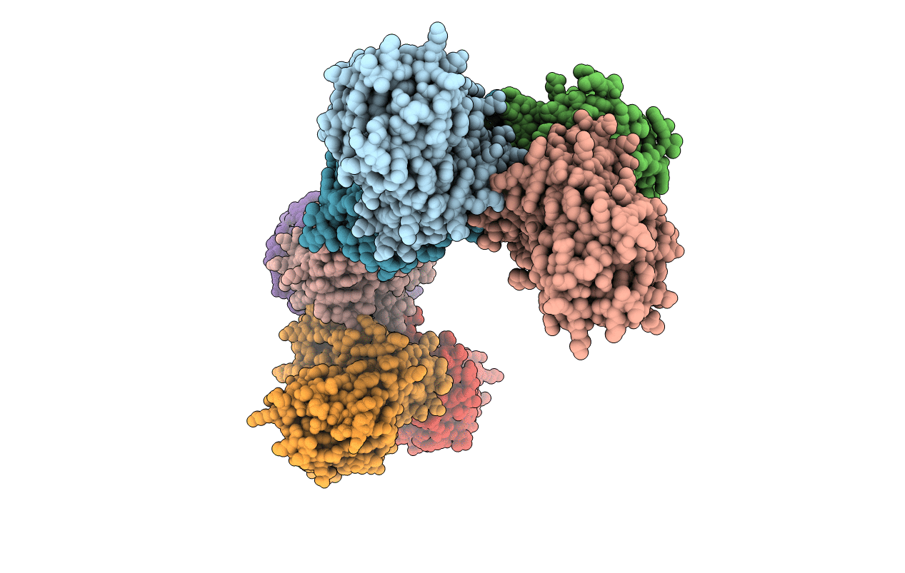 1XDL image