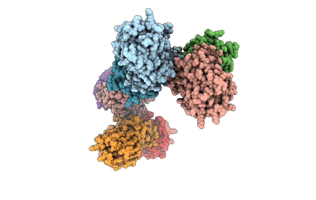 1XDM image