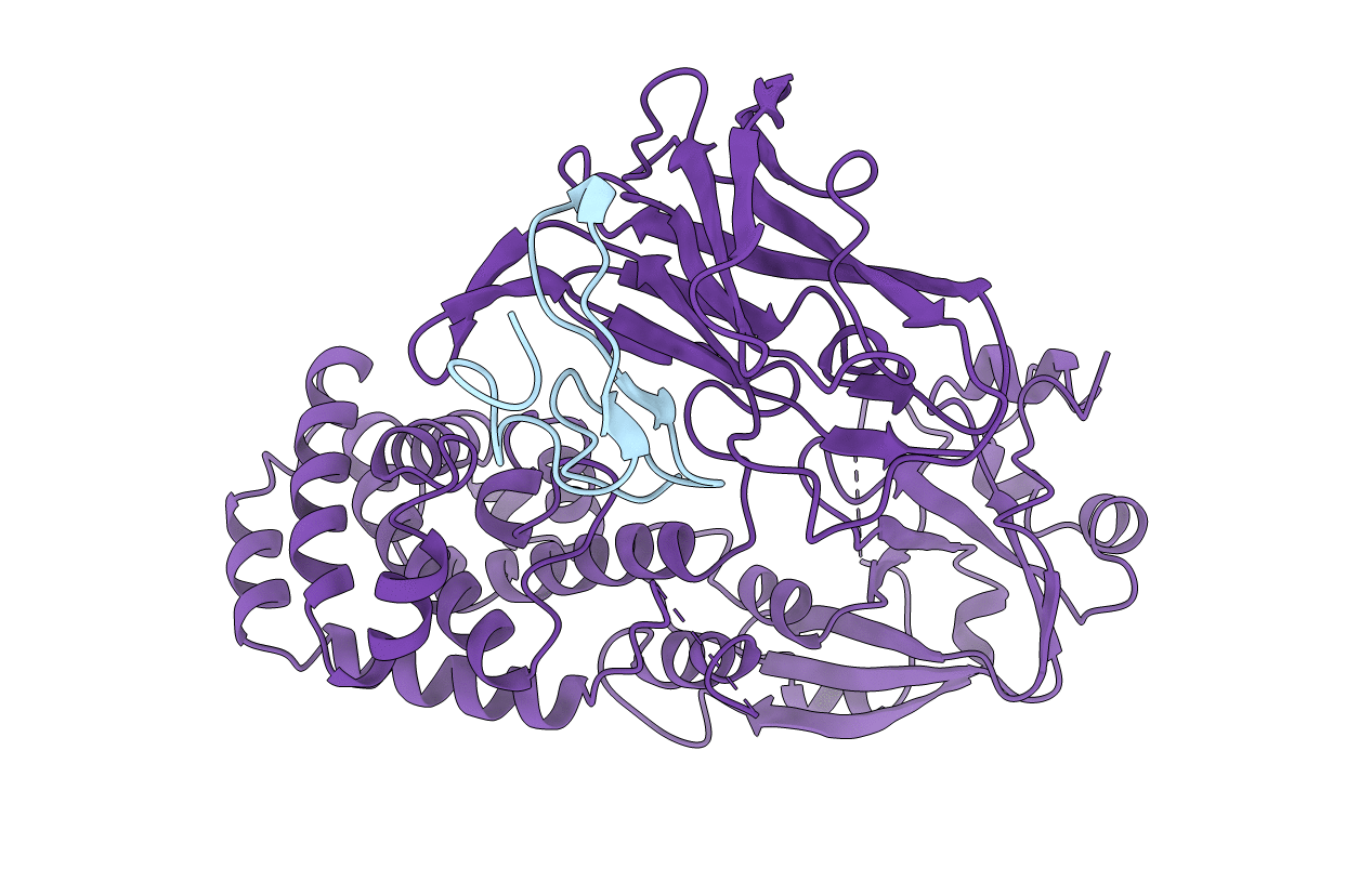 1XDT image