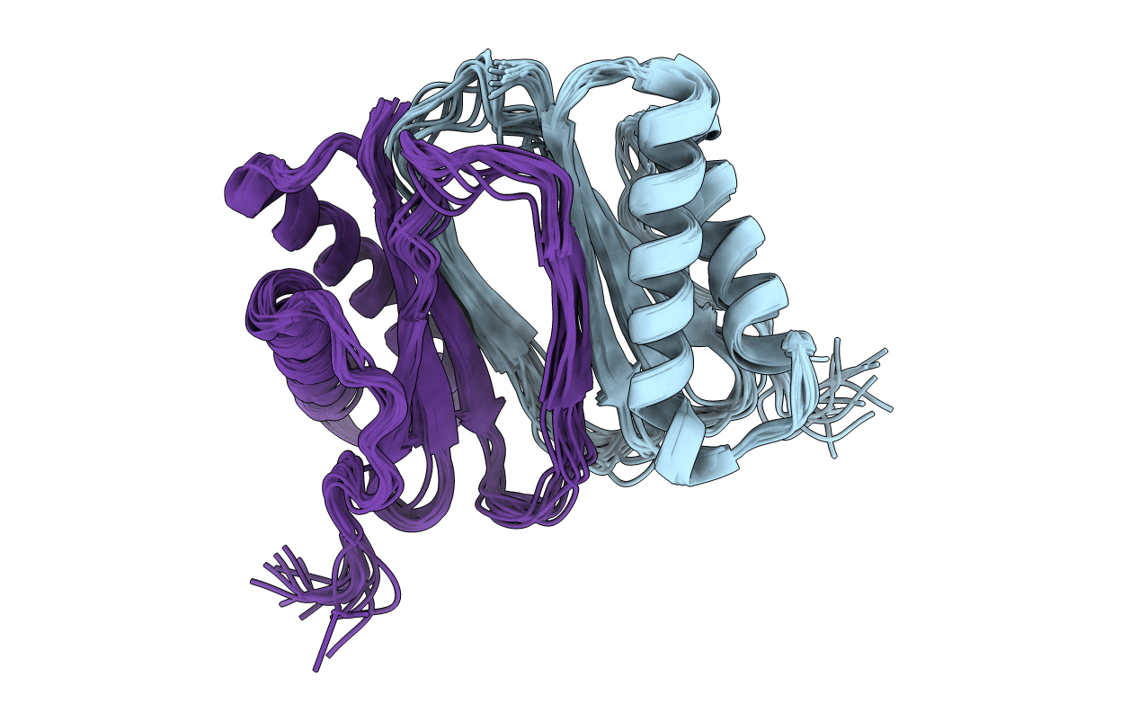 1XDX image