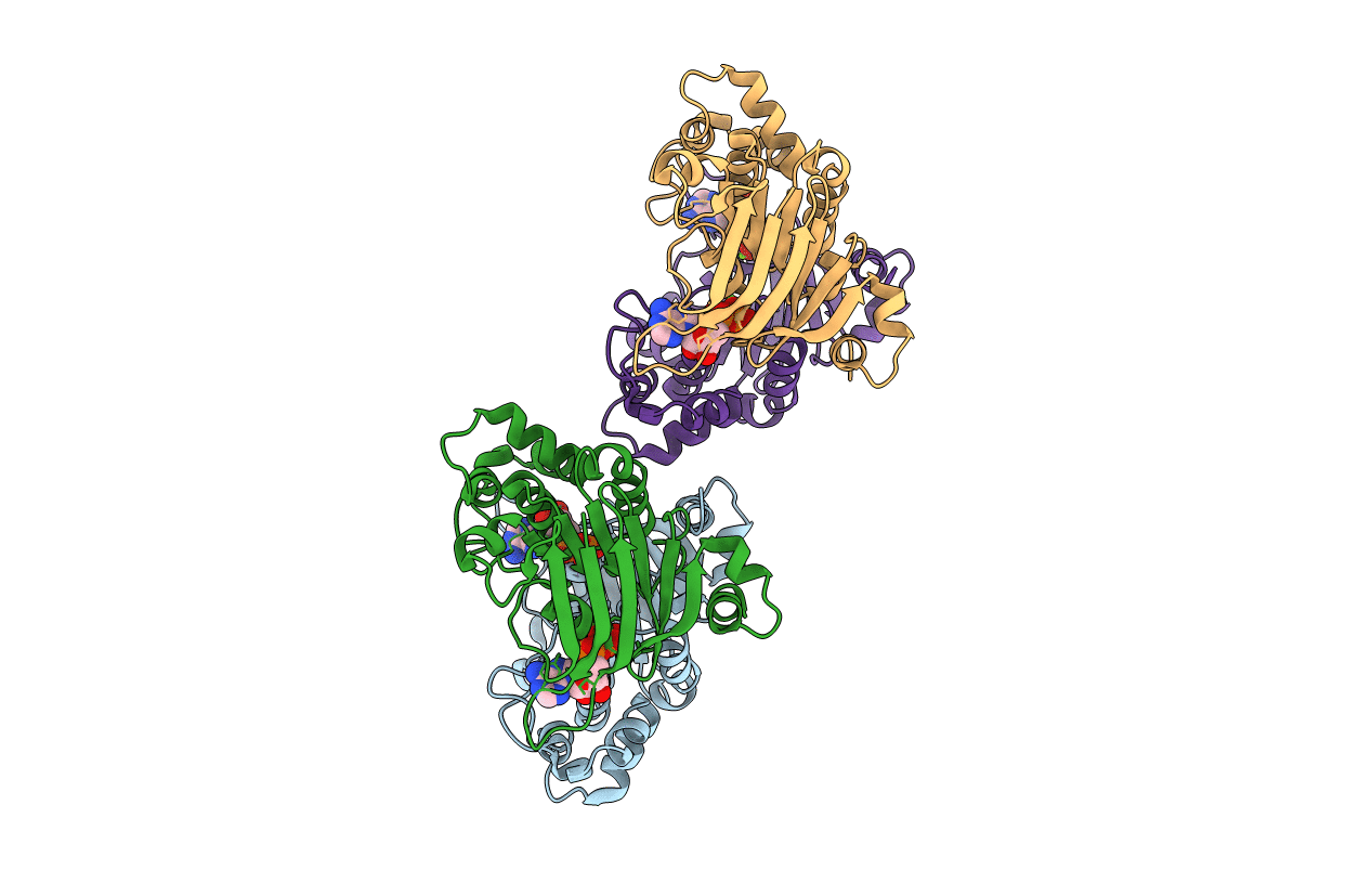 1XEF image