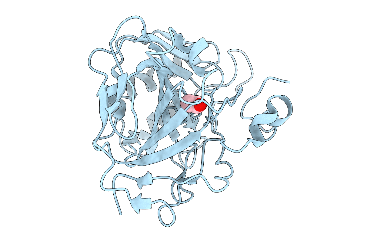 1XEG image