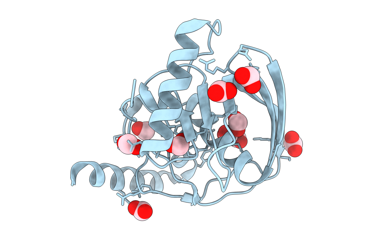 1XEM image