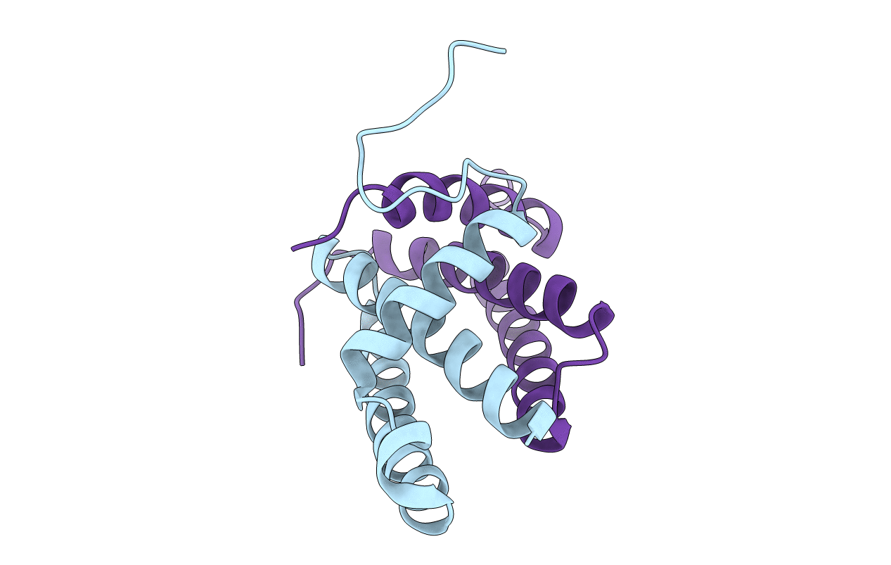 1XEQ image