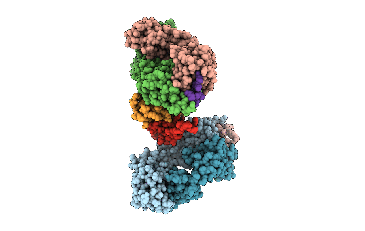 1XF5 image