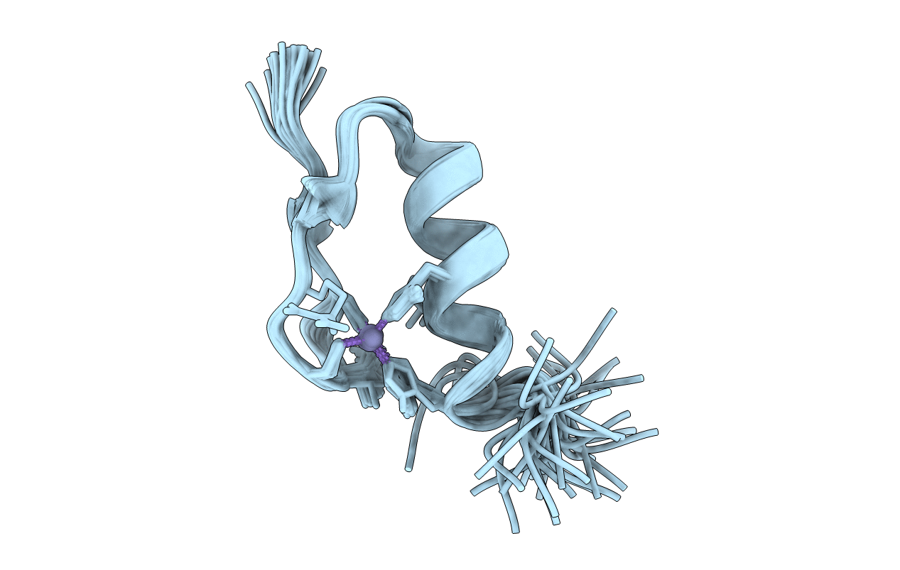 1XF7 image