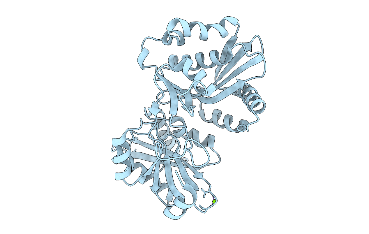 1XF8 image