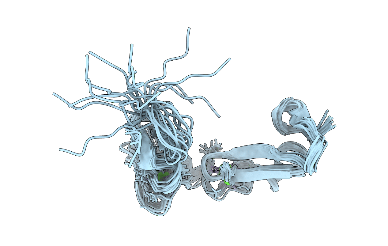 1XFE image