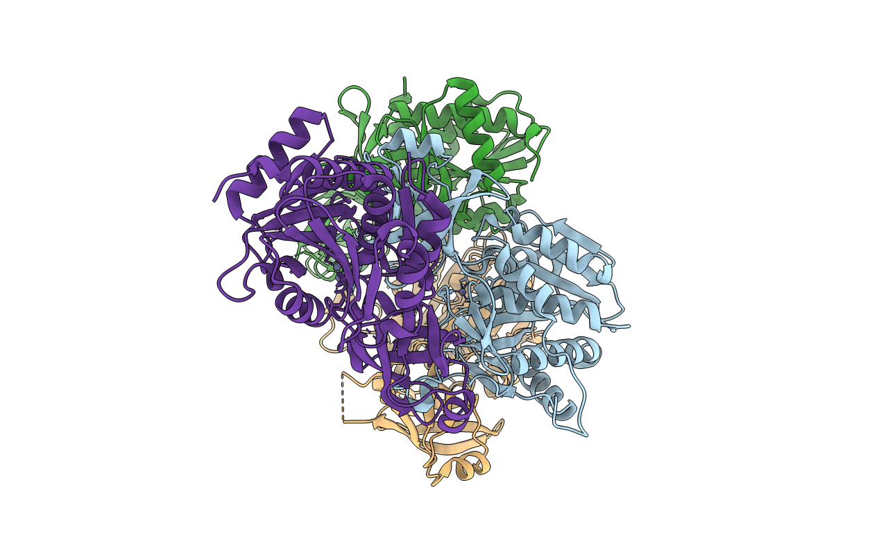 1XFO image