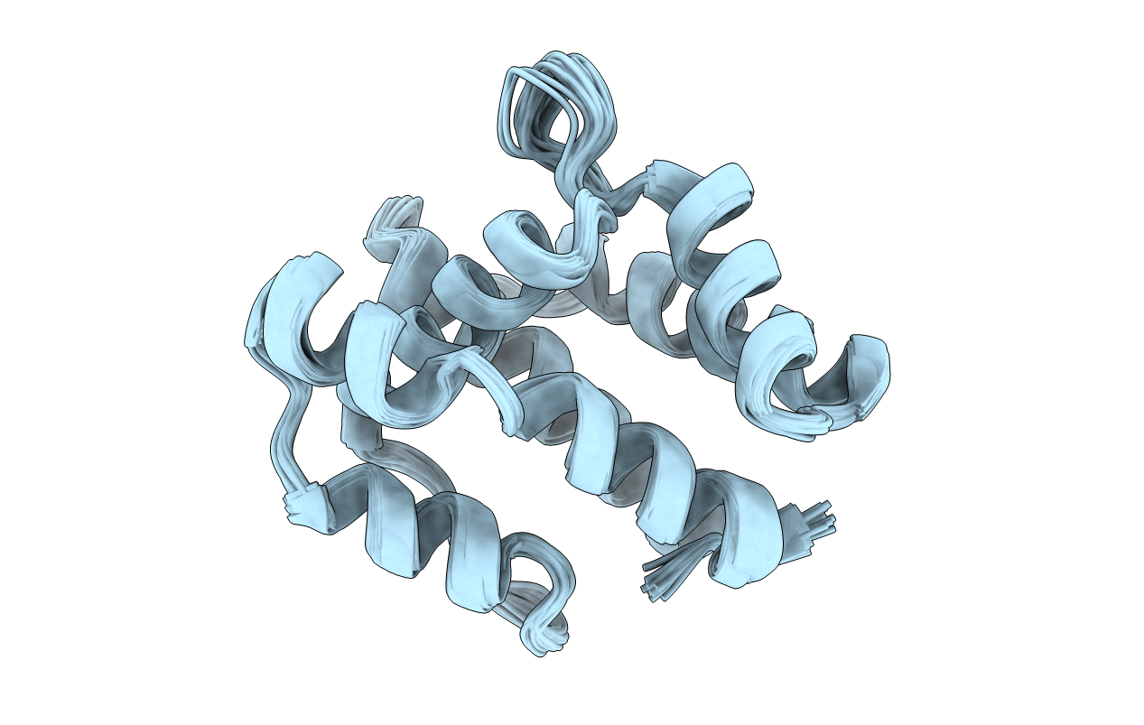 1XFR image