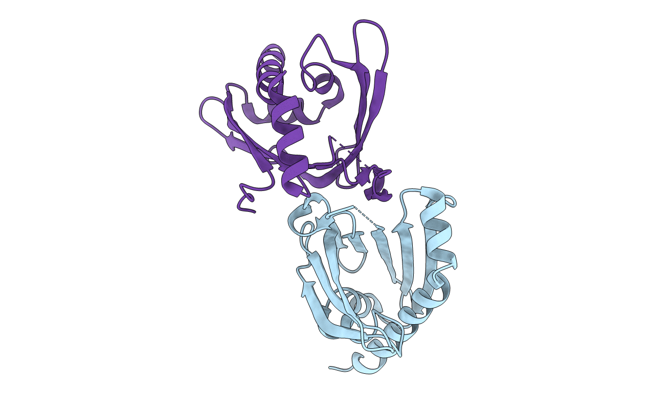 1XFS image