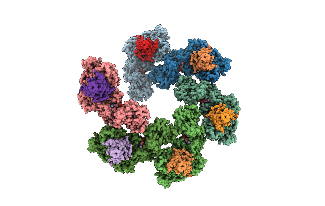 1XFV image