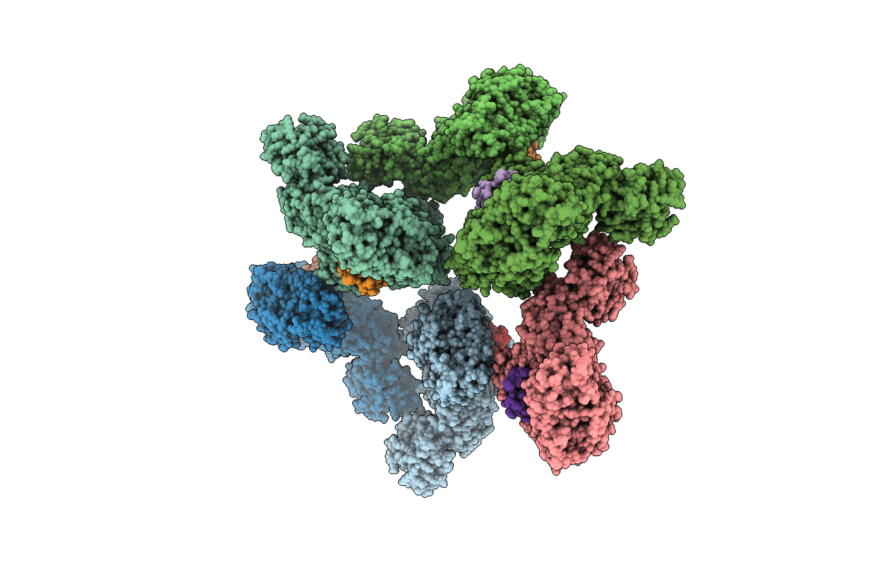 1XFW image