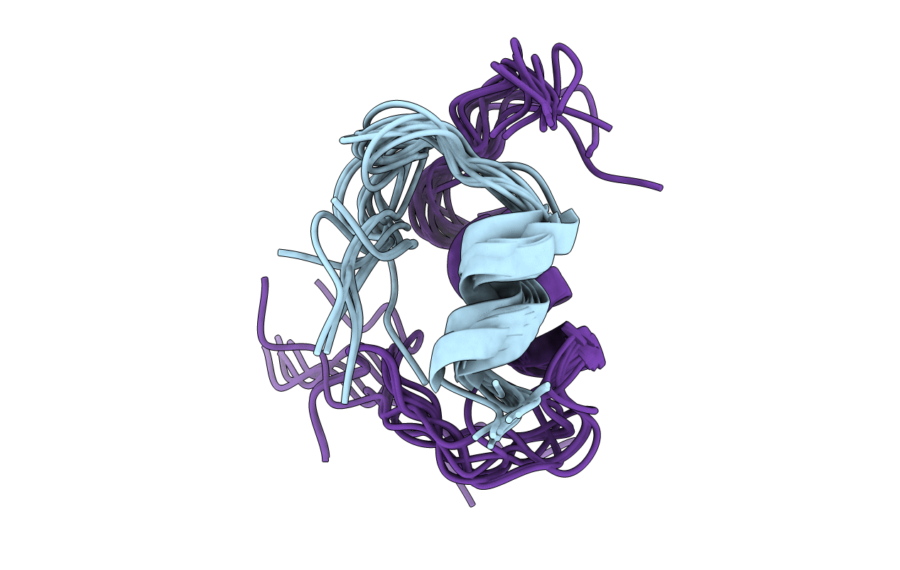 1XGL image