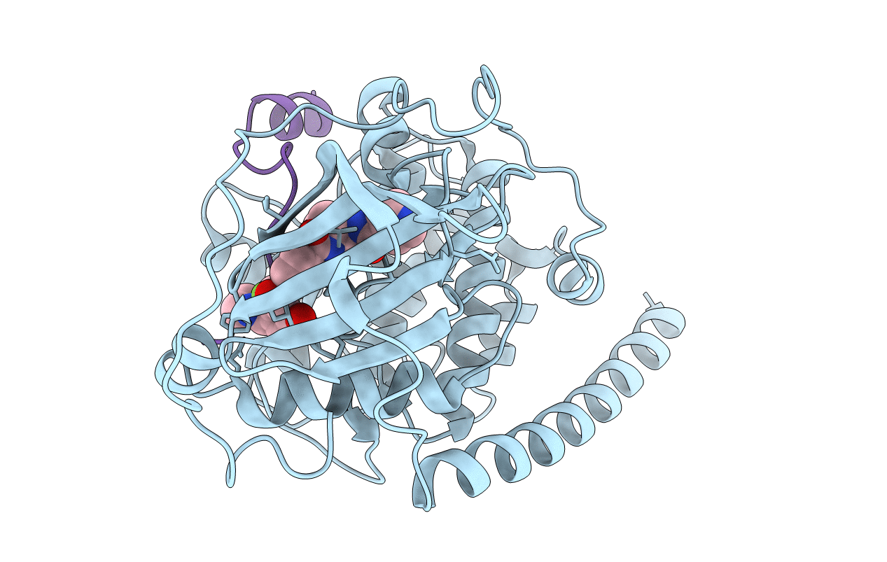 1XHA image