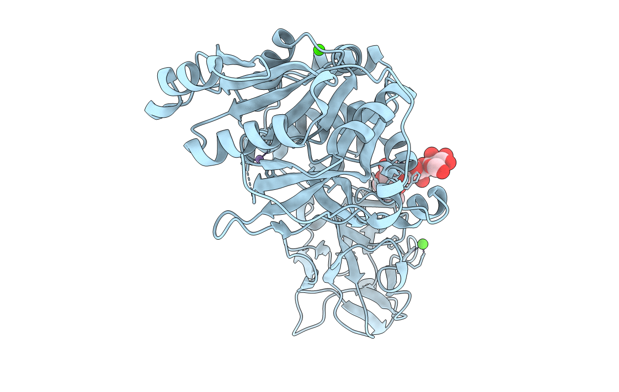 1XHB image