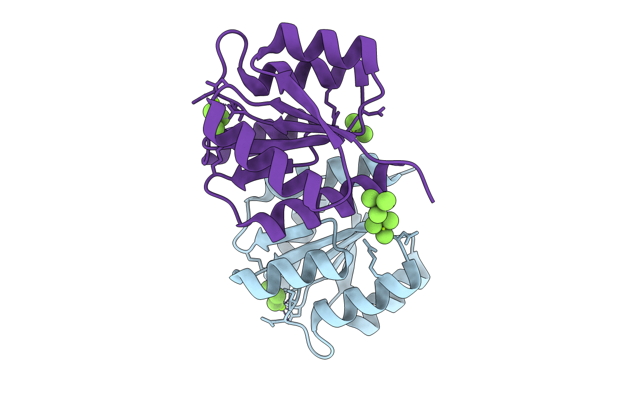 1xhf image