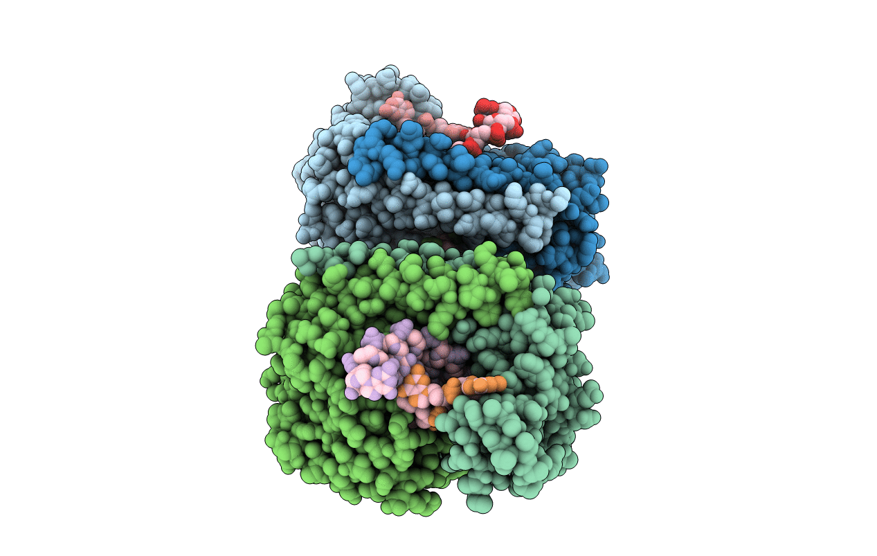 1XHU image