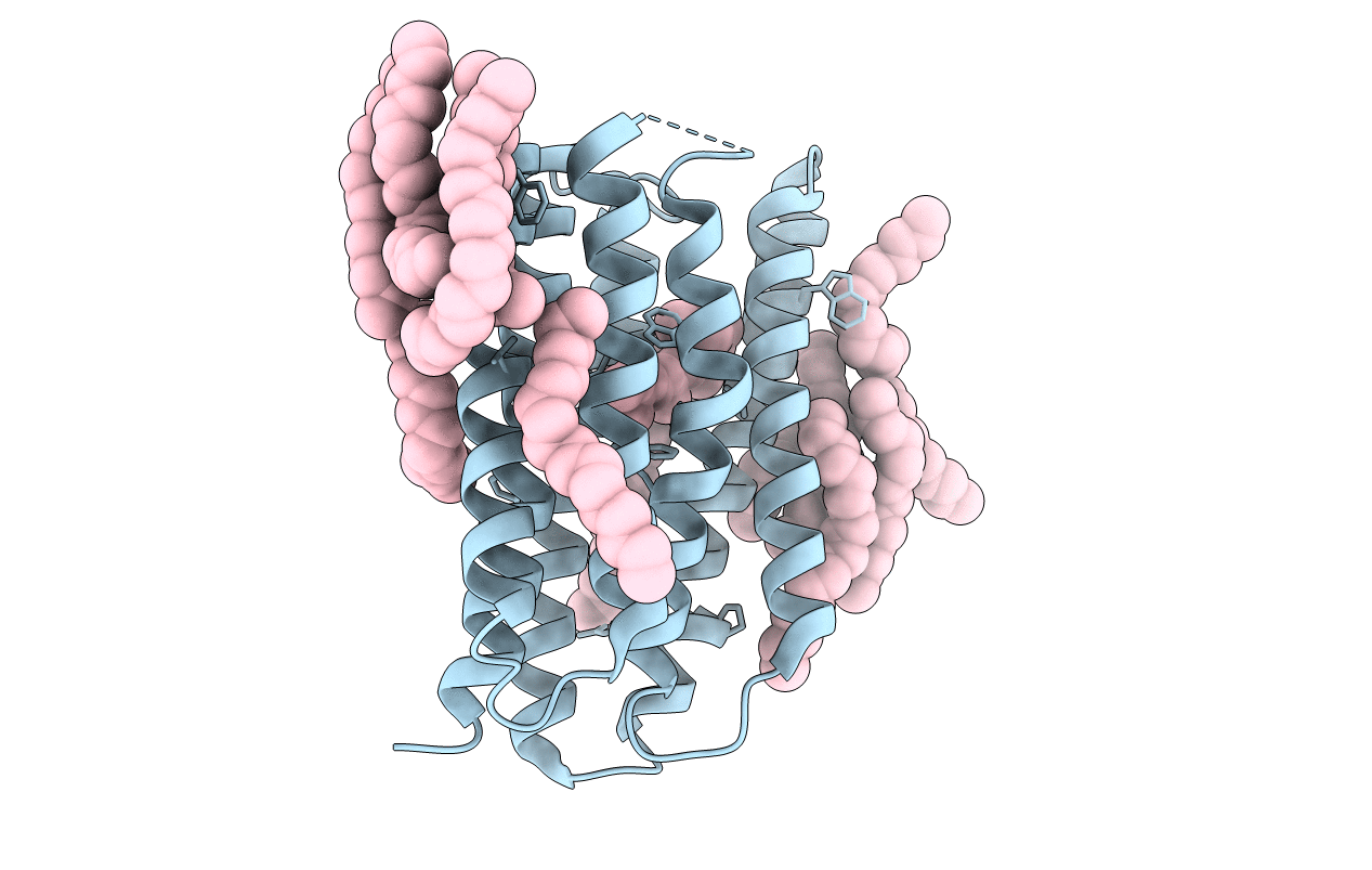 1XIO image