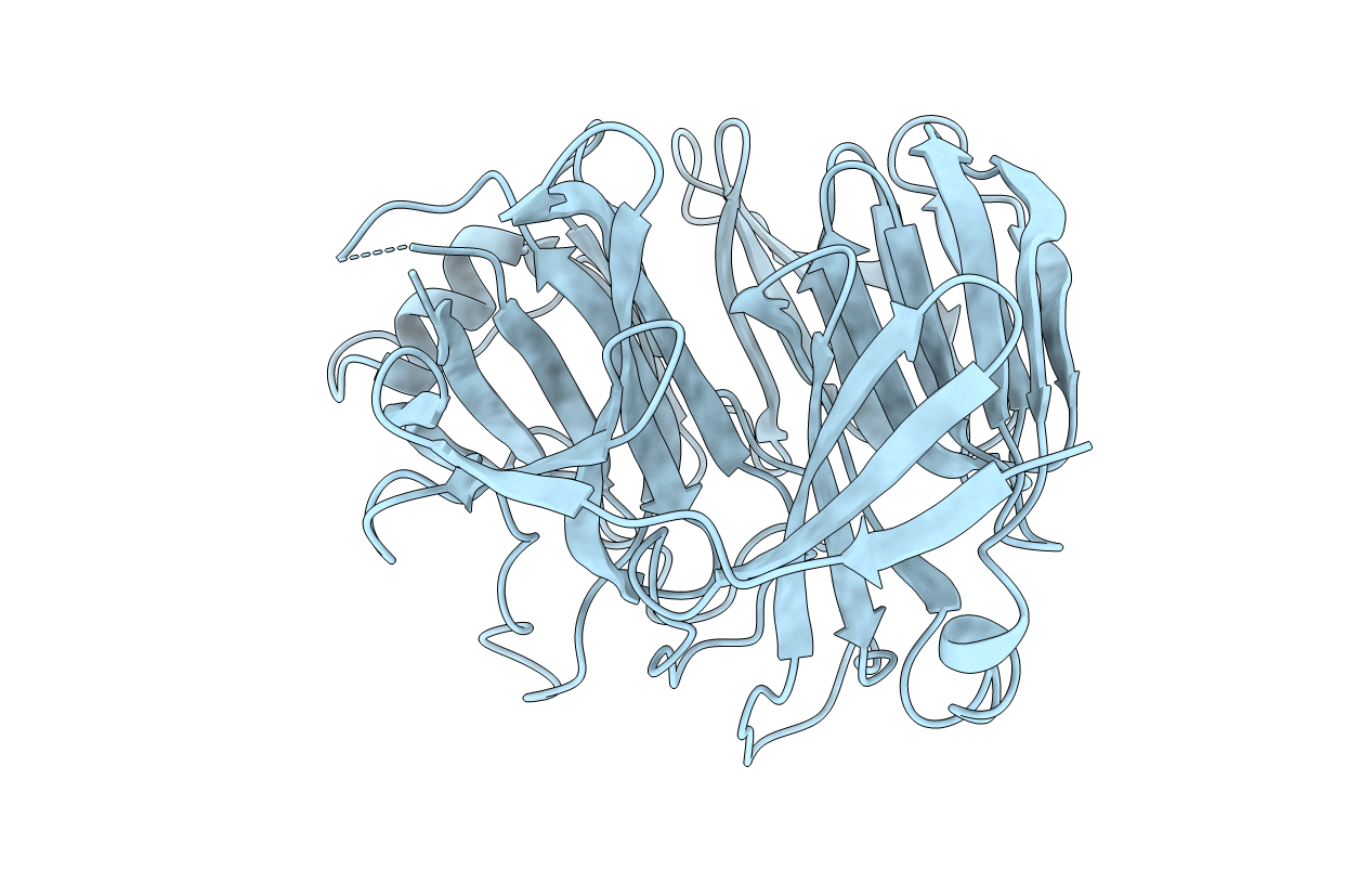 1XIP image